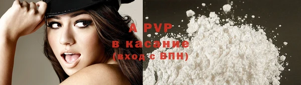 PSILOCYBIN Дмитриев