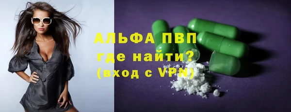 PSILOCYBIN Дмитриев