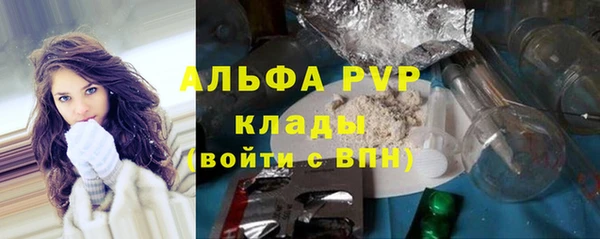 PSILOCYBIN Дмитриев